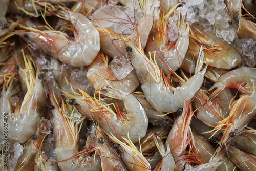 Fresh prawn (Fenneropenaeus merguiensis) in asian market