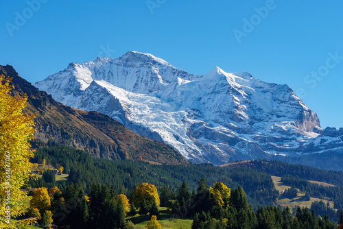 Majestic snowy alpine peak rising above an autumn forest