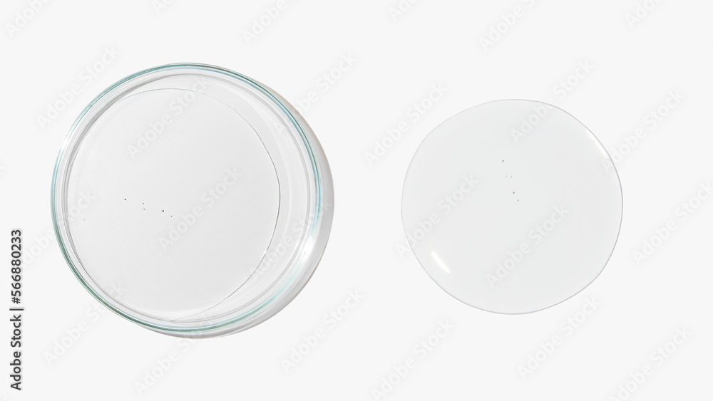 Petri dish with transparent color gel on a light background. Glassware. Liquid. Study. Petri dish with transparent color gel on a light background. Glassware. Liquid. Study.