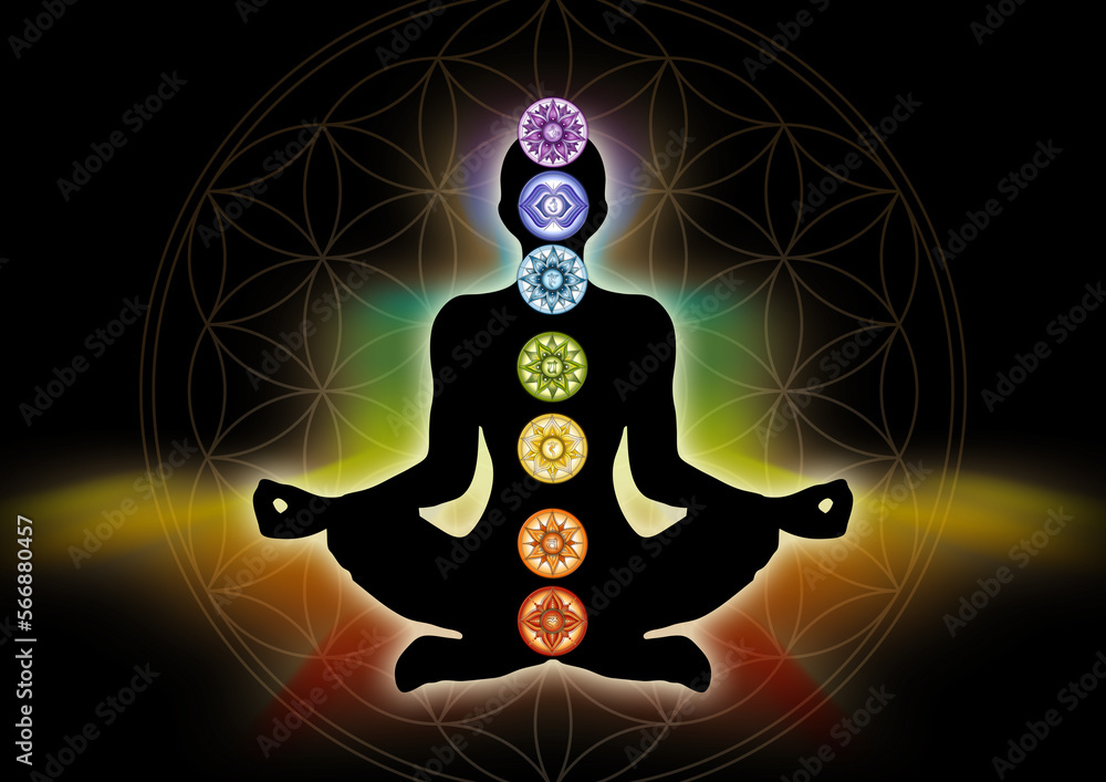 7 Chakra symbols and Flower of Life. Human energy body, aura, yoga lotus pose. Powerful decor for meditation and chakra energy healing. 7 Chakra symbols and Flower of Life. Human energy body, aura, yoga lotus pose. Powerful decor for meditation and chakra energy healing.