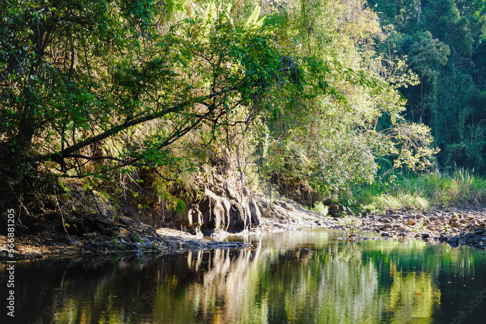 Bu Gia Map national park in Binh Phuoc province, Vietnam, one of the favorite adventure forest trekking sites Bu Gia Map national park in Binh Phuoc province, Vietnam, one of the favorite adventure forest trekking sites