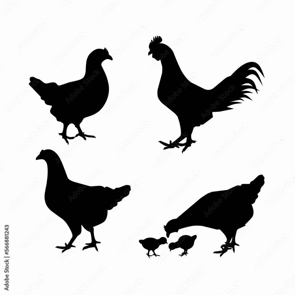 set of chickens silhouettes. 