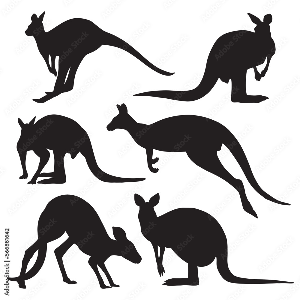 Kangaroo silhouette bundle
