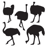 Ostrich silhouette bundle