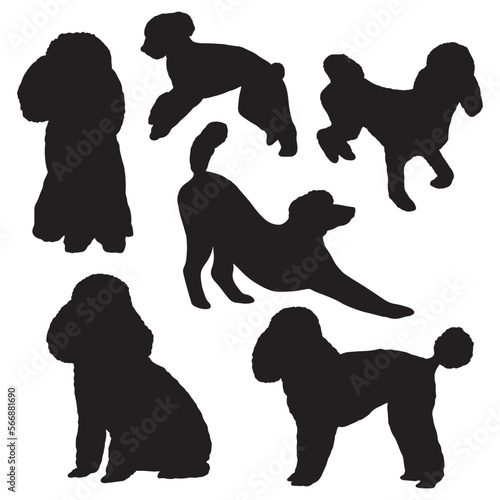 Poodle silhouette bundle