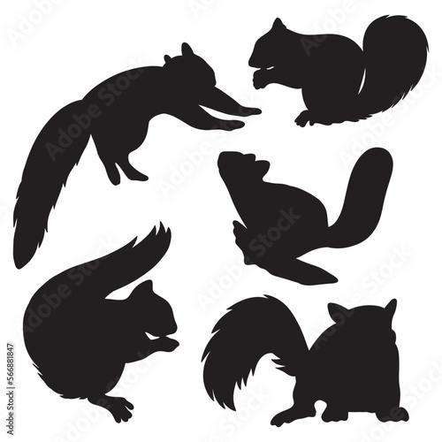 Squirrel silhouette bundle