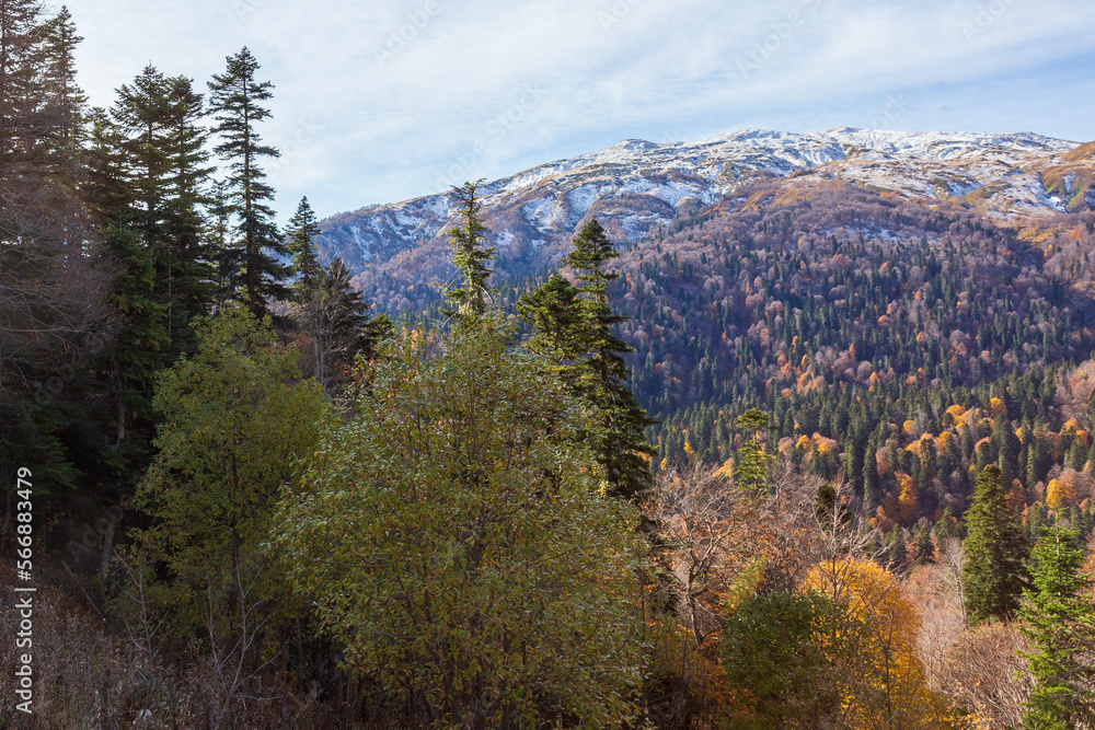 Fototapeta premium autumn in the highlands, the state of nature in a lyrical mood, the colors and colors of an autumn day, nature walks.*