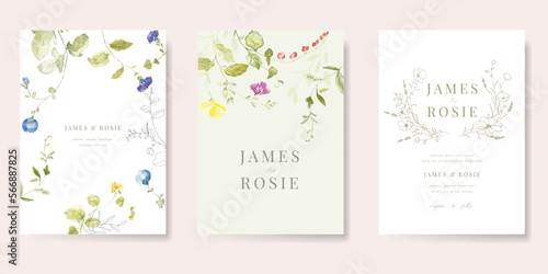 Spring and Summer Flower watercolor Wedding Invitation set, floral invite thank you, rsvp modern card Design  leaf greenery branches with blue background decorative Vector elegant rustic template