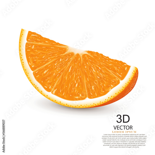 vector illustration realistic fresh orange slice design on the white background.