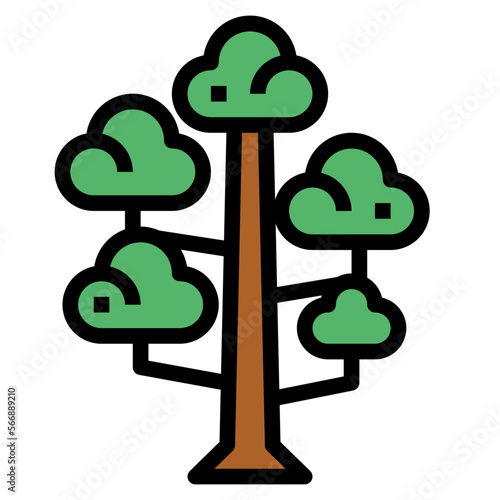 sequoia filled outline icon style