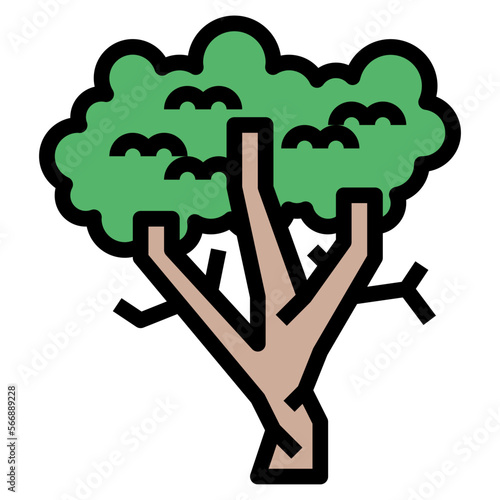 sycamore filled outline icon style