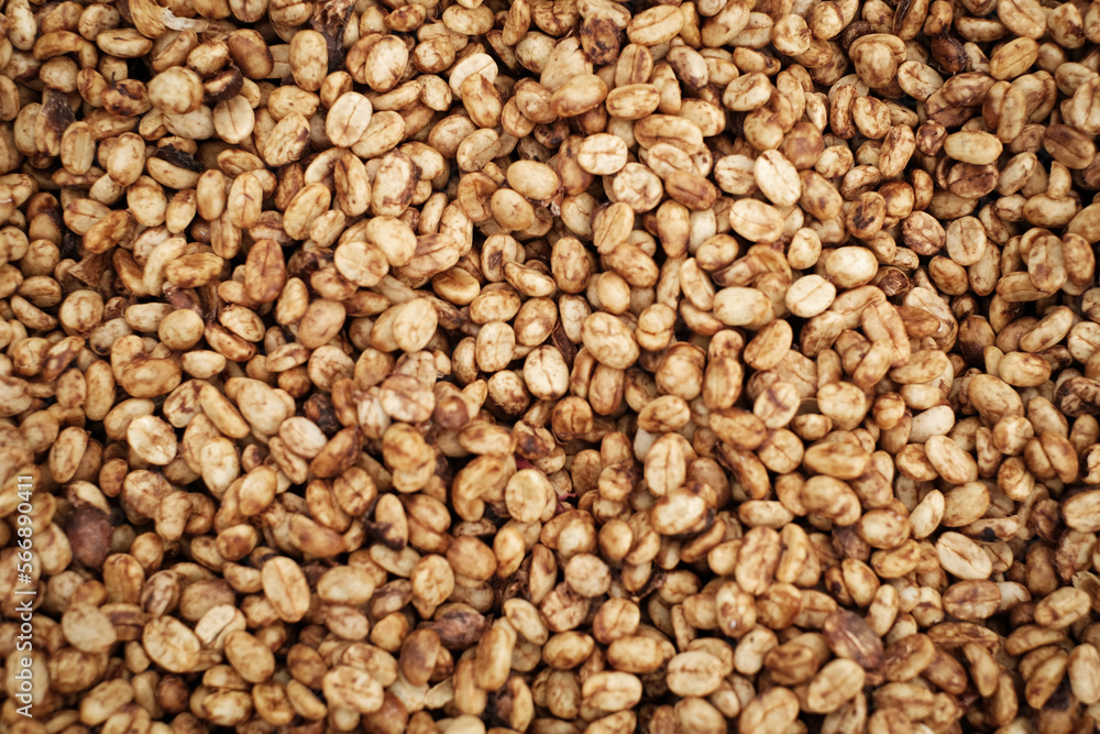 Coffee Processing ,Natural Dry Process ,Pulped-natural, Semi-dry Process ,Honey Process, Cherry coffee beans, yellow coffee ripeness dry . Coffee Processing ,Natural Dry Process ,Pulped-natural, Semi-dry Process ,Honey Process, Cherry coffee beans, yellow coffee ripeness dry .