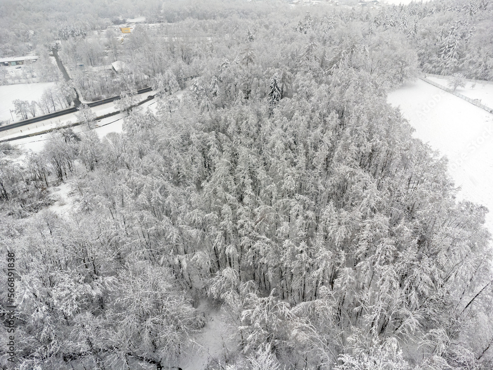 Aerial view landscape. Winter, snow, path, trees, forest.