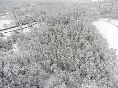 Obraz na płótnie Aerial view landscape. Winter, snow, path, trees, forest. w salonie