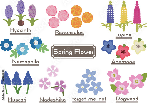 春の花のイラストセット