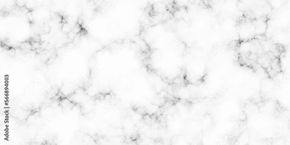White marble texture panorama background pattern with high resolution. white architecuture italian marble surface and tailes for background or texture.
White marble texture panorama background pattern with high resolution. white architecuture italian marble surface and tailes for background or texture.