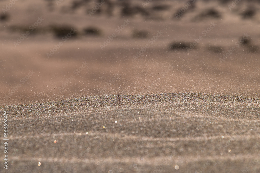 sanddune rippling surface of dry sand dune sanddune rippling surface of dry sand dune