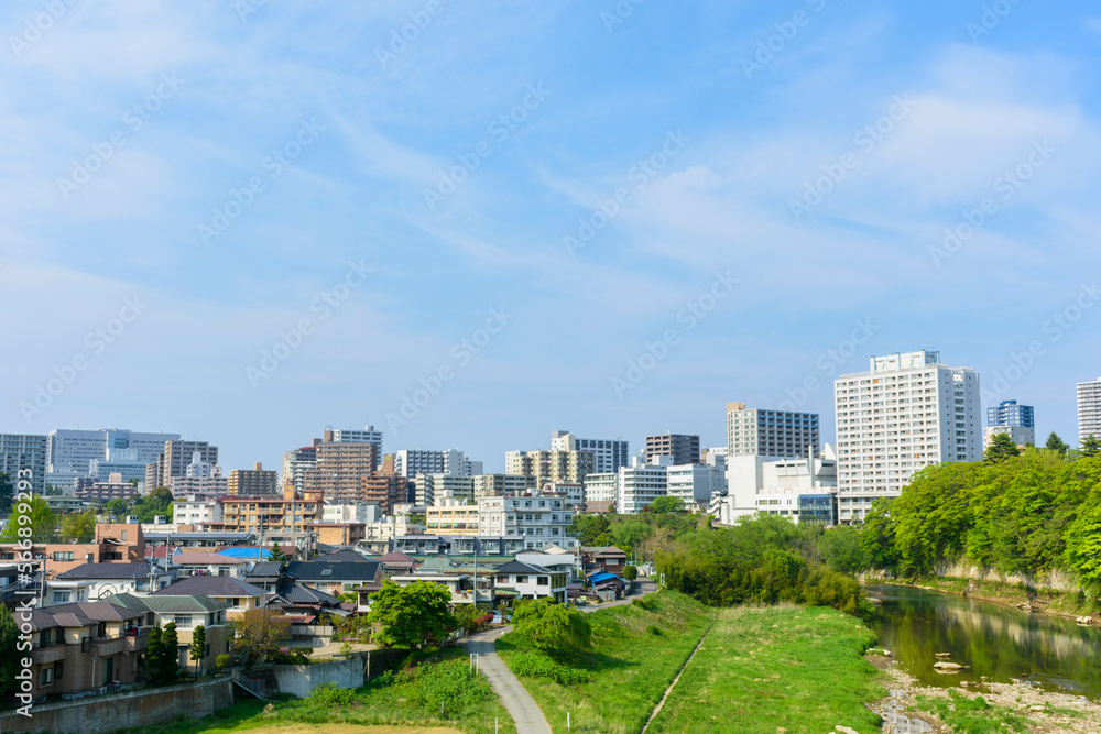 Fototapeta premium 新緑の杜の都 仙台
