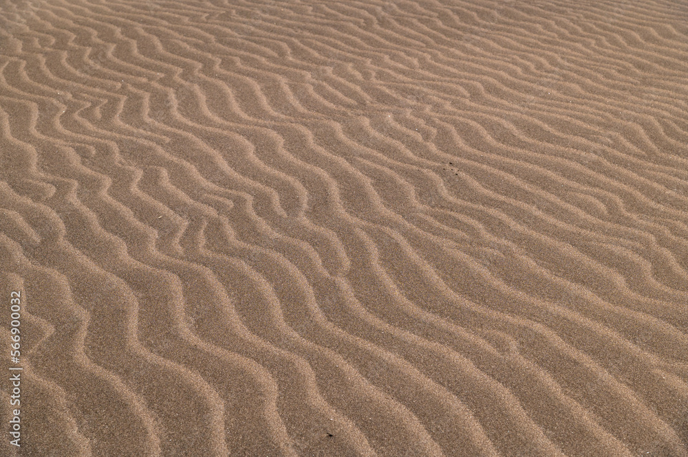 sanddune rippling surface of dry sand dune sanddune rippling surface of dry sand dune