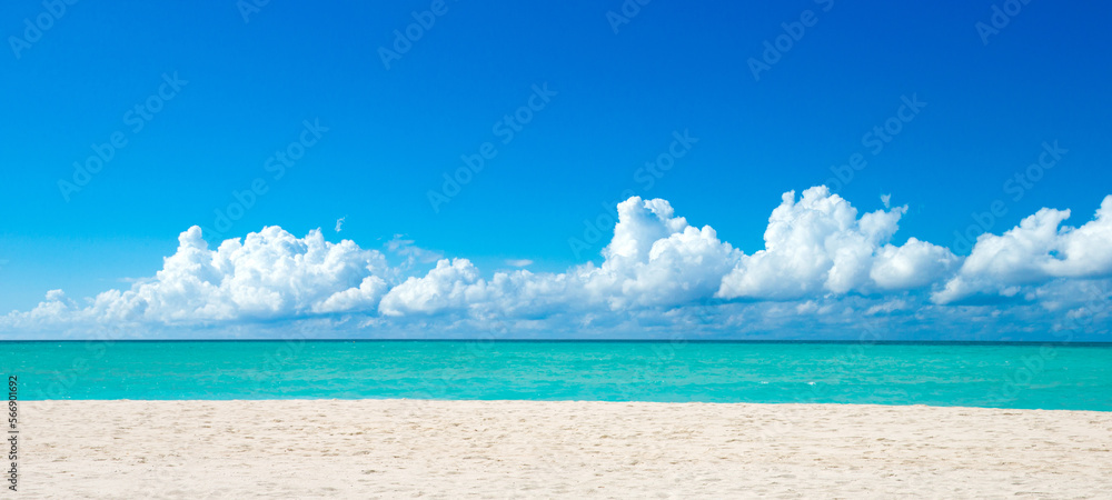 Fototapeta premium tropical Maldives island with white sandy beach and sea