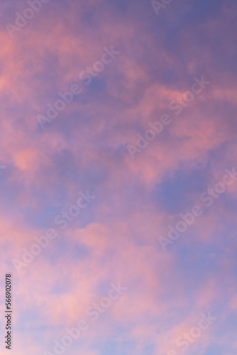 Sunset sky with pink and gray clouds