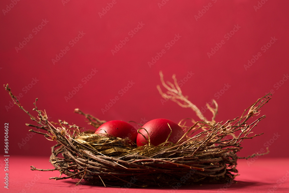 red eggs in a nest, copy space