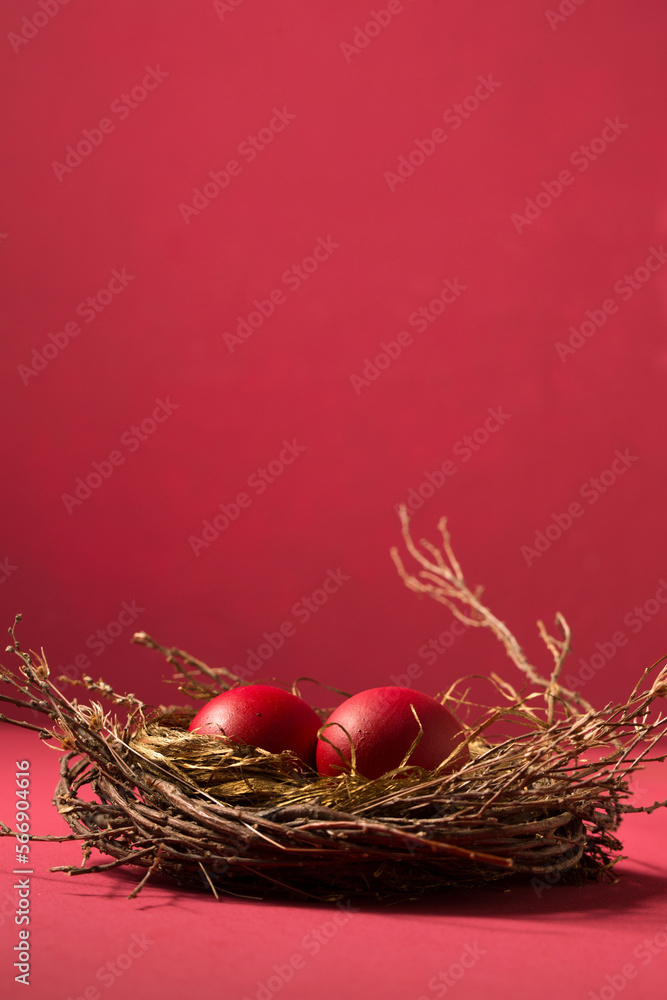 red eggs in a small nest, copy space