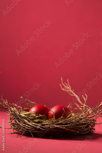 Obraz na płótnie red eggs in a small nest, copy space w salonie