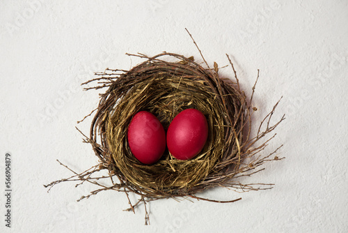 Big eggs in the bird's nest on a white background photo