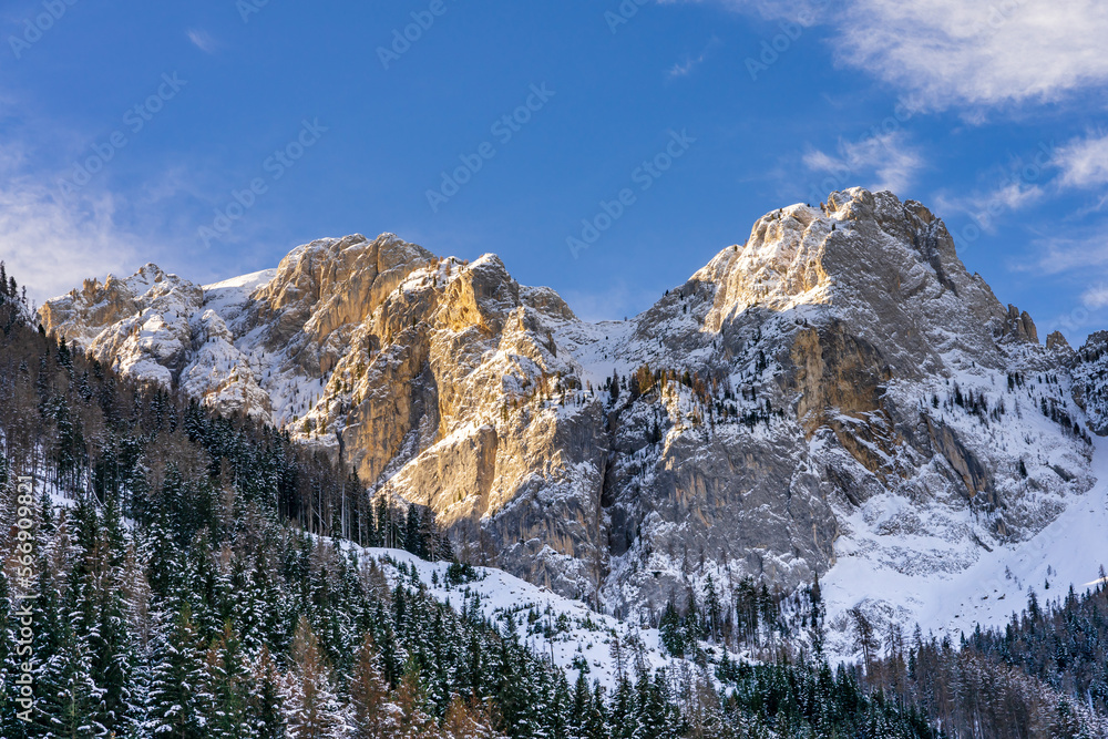Montagne Dolomiti e bosco