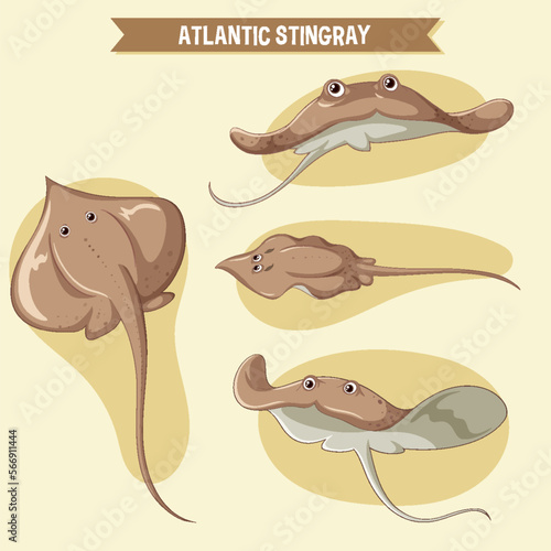 Atlantic stingray cartoon character set