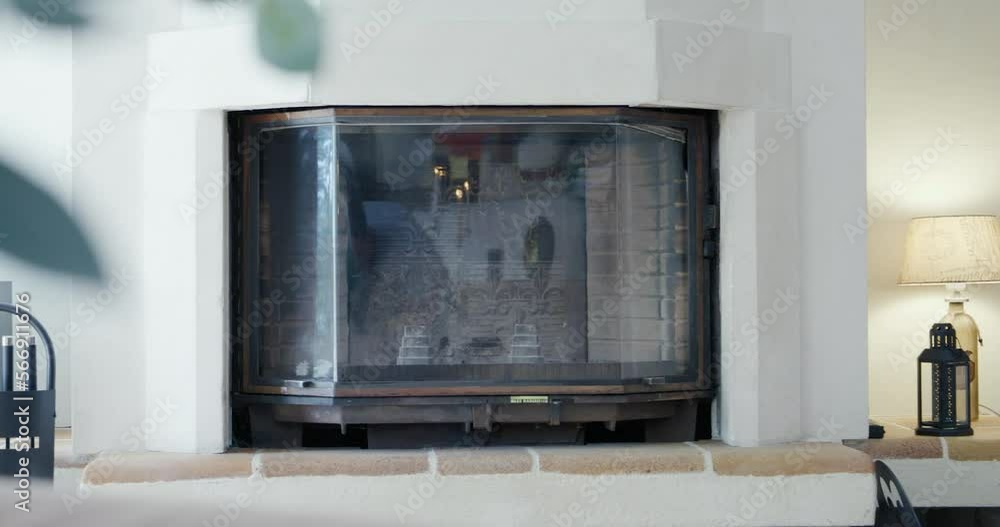 Plan that reveals a fireplace from a green plant Plan that reveals a fireplace from a green plant