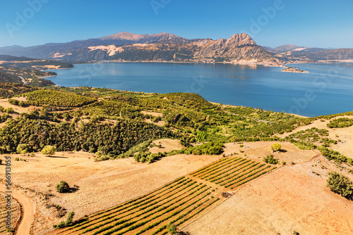 Lavender and agricultural shrub plantations with Lake Egirdir in the background. Aerial view