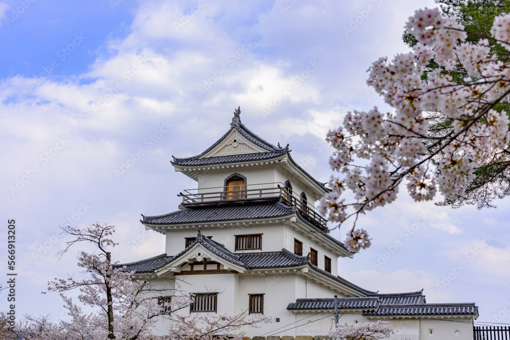 白石城と桜
