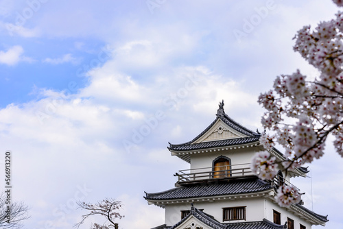 白石城と桜 