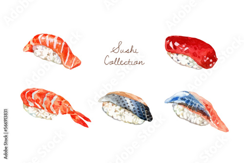 Watercolor hand drawn sushi collection