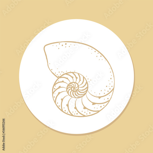 Hand drawn spiral seashell sticker, aquatic marine life illustration