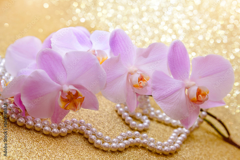 purple Orchid and pearl necklace on a shiny gold background
purple Orchid and pearl necklace on a shiny gold background