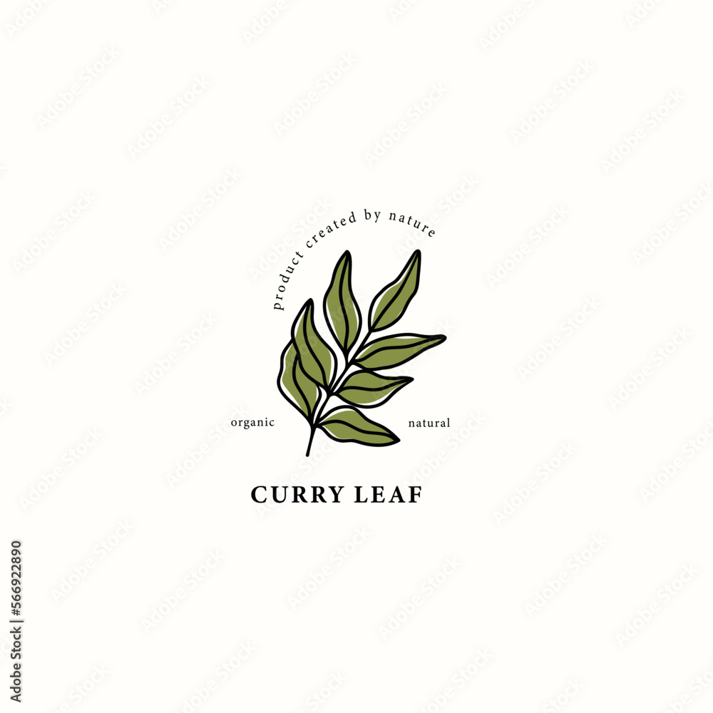 Line art curry leaf drawing Stock Vector Adobe Stock