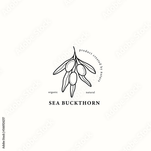 Line art sea buckthorn illustration