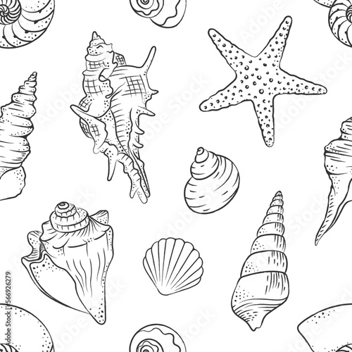 Seashells and starfish seamless pattern background vector illustration. Cute aquatic marine life doodle wallpapers