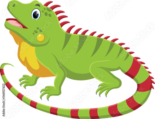 Cartoon funny iguana isolated on white background © ROFIDOHTUL