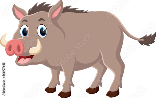 Cartoon cute wild boar isolated on white