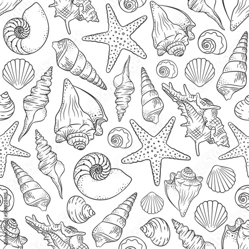 Seashells and starfish seamless pattern background vector illustration. Cute aquatic marine life doodle wallpapers