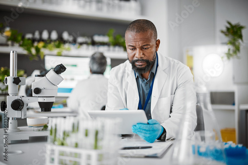 Plant scientist, tablet or thinking in science laboratory for medical research, innovation or ideas for genetic gmo engineering. Black man, worker or biologist on technology for growth sustainability photo