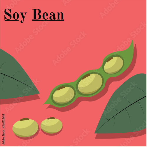 leaf with water drops , green soy bean, pink back ground, for banner , flyer, power point, presentation, brochure