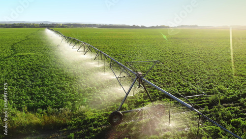 Aerial view pivot at work in potato field, watering crop for more growth. Center pivot system irrigation. Watering crop in field at farm. Modern irrigation system for land and vegetables growing on it photo