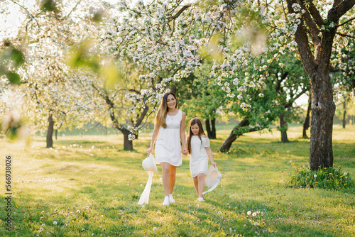 Happy family mom and daughter in a blooming apple orchard holding hands and walking in the park in spring