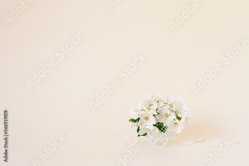 A bicycle toy with white flowers on a beige background. The concept of celebration, banner. Copy space. The concept of the beginning of spring and the holiday