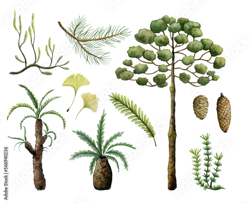 Fotografi Watercolor set of prehistoric ancient plants and trees from dinosaur era isolate